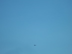 IMG 3599